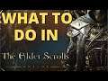 ELDER SCROLLS ONLINE - What to do and how to play after tutorial as a new player