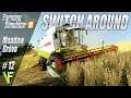 Meadow Grove #12 | Let's Play Farming Simulator 19