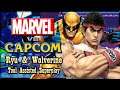 【TAS】MARVEL VS CAPCOM - RYU & WOLVERINE