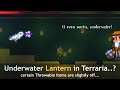 Terraria has these throwable items, and all of them are... off.