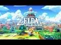 The Legend of Zelda Link's Awakening - Live Gameplay #14