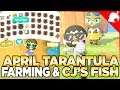April's Tarantula Farming, CJ's Fish, & Expanded Zen Garden! Animal Crossing New Horizons