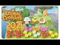 Dekoration zum anbeißen #202 Animal Crossing: New Horizons - Gameplay Let's Play