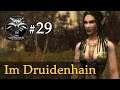 Let's Play The Witcher 1 #29: Im Druidenhain (Modded / Schwer)