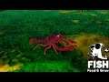 Feed And Grow Fish 64 - Uma aventura fora d'água!!! (GAMEPLAY PT-BR)