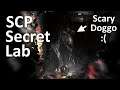 SCP: Secret Laboratory Shenanigans 17