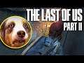 The Last of Us 2: tanta violenza nel gameplay (Troppa?)