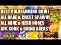 WoW Classic Gold Farming Guide - Professions - Mining - Herbalism - Rare Spawns - Chests - Grinding
