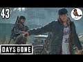 DAYS GONE; Let's Play Hard [4K] 🐦 43; Mining with Skizzo