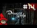Fool's Path || E14 || Demon's Souls Adventure [Let's Play // Blind]