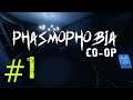 How To Get the Wrong Ghost Type in Phasmophobia? (Co-oP Multiplayer Gameplay)