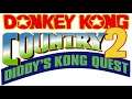 Jib Jig (Restored) [1HR Looped] - Donkey Kong Country 2: Diddy's Kong Quest Music