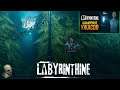 ХОРРОР В КООПЕРАТИВЕ! ЛАБИРИНТ УЖАСА! НЕ ЗАБЛУДИСЬ - ИНАЧЕ УМРЕШЬ ● Labyrinthine #2