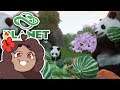 Lighting Lanterns at The Shrine of Pandas!! 🐼 Daily Planet Zoo! • Zoodesia! • Day 73