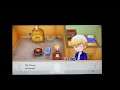 Story of Seasons:Friends of Mineral Town-Gray Yellow Heart Event