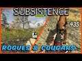 Subsistence - Base building| survival games| crafting - Rogues & Cougars ep435