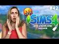 Het VIERDE KIND is er & Emily LOOPT WEG! - De Sims 4 - Deel 42