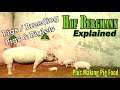 FS19 Hof Bergmann Explained 🐖 Pigs / Breeding Pigs + Piglets 🐖 A How To Series