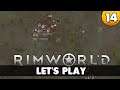 Im neuen Lager ⭐ Let's Play Rimworld 1.2 ⭐ 4k 👑 #014 [Deutsch/German]