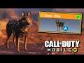 Legendary RILEY the Dog skin Review + Gameplay in Call of Duty Mobile