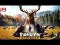 Прохождение: the Hunter Call of the Wild - Часть 9  Охота на олений колумбийских более 70 кг