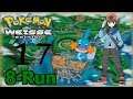 Let's Play Pokemon Weiß [8-Run Challenge / Part 17] Sushis ersten Kämpfe