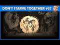 Lion-sauterelle - Don't Starve Together (Episode 57)