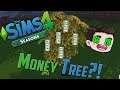 SIMS 4 MONEY TREE!?!?