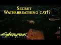 Cyberpunk 2077 Secret Waterbreathing Cat