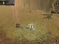 Dungeon Siege pt 37