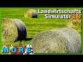 LS19 MORE ► BALLEN SAMMLER ⛄ SEASONS Farming Simulator 19 [s4e14]