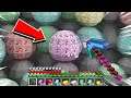 Minecraft But Every ORE is RANDOM CIRCLE BLOCKS!