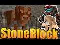 NOVÉ DRUHY KRAV!😱🔥 Minecraft Stoneblock 2 #7 w/Makousek