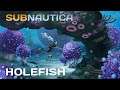 Subnautica: Holefish (Species Series)