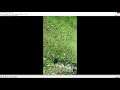💻Wondershare Filmora 9💻 - HEVC Codec Error (Fix)