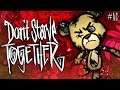 Don't Starve Together - BERNIE TO THE RESCUE