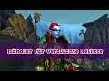 Ich bin verflucht - Händler für Seltene Dinge - Mein Weg - Patch 8.2 - World of Warcraft | Aloexis