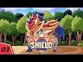 Pokemon Shield 03 : Growing the team
