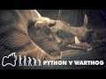 Rock Python Versus Giant Warthog | Ancestors: The Humankind Odyssey