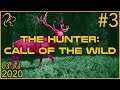 theHunter: Call of the Wild | 3rd July 2020 | 3/3 | SquirrelPlus
