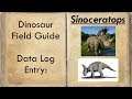Sinoceratops: Habitat and Facts