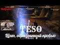 TESO "The Elder Scrolls Online"  серия 41 "Щит, обрызганный кровью"    (OldGamer) 16+