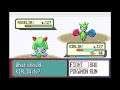 Baseball Boy Plays Pokemon Ruby Version Exploring Route 119 and Fortree City