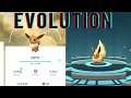 Evolution of eevee into flareon |Pokémon GO |#shorts #shortvideo #ANYTHINGMAKERS