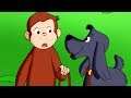Jorge el Curioso en Español 🐵Charkie Va a la Escuela 🐵Mono Jorge 🐵Caricaturas para Niños