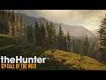 Gameplay/Live -  theHunter: Call of the Wild - Xbox, Ps4 Pc!