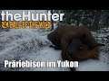 The Hunter Call of the Wild ★ Prärie-Bisons Jagen im Yukon | Let's Play Deutsch
