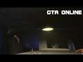 Tiger Ronny: GTA Online zu Gast beim Ocelot