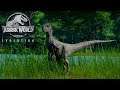 Jurassic World Evolution 09 - Velociraptor na área!!! (GAMEPLAY PT-BR)