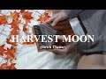 [Kalimba Cover] Harvest Moon (Town Theme) in Chromatic | Number Notes